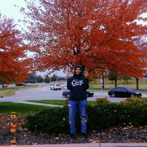 Meet your Posher, Manny